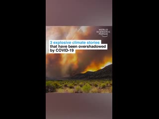 Leonardodicaprio video 1605352581892 mp4