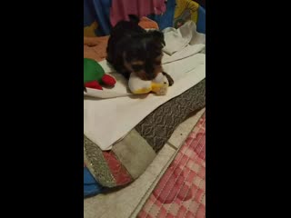 Vid 20200601 211416 mp4