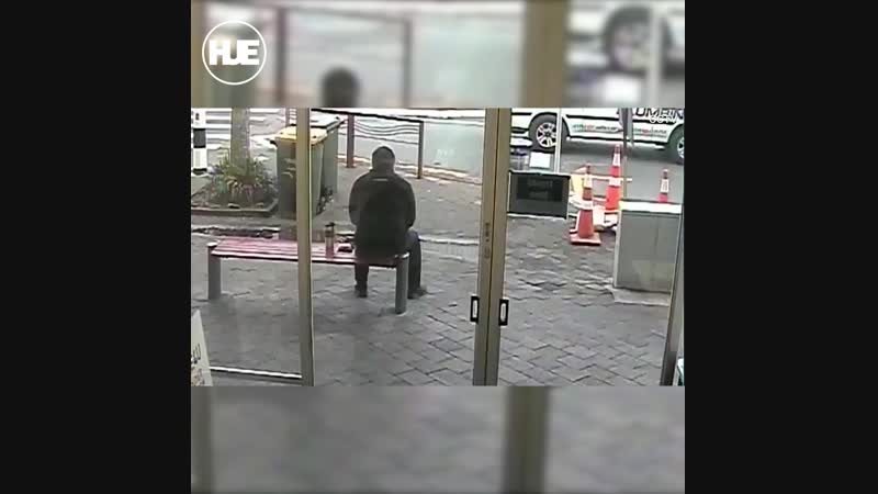 В новой зеландии у автобуса отказали тормоза, врезался в здание школы