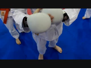 Shotokan karate do