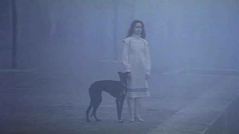 1978 тьма венецианская / nero veneziano