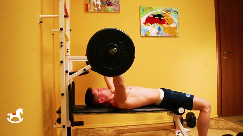 Упражнения с гантелями и штангой