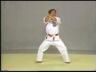 Isshin ryo karate katas vol 3