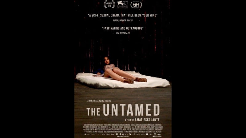 Дикая местность /la region salvaje/ 2016