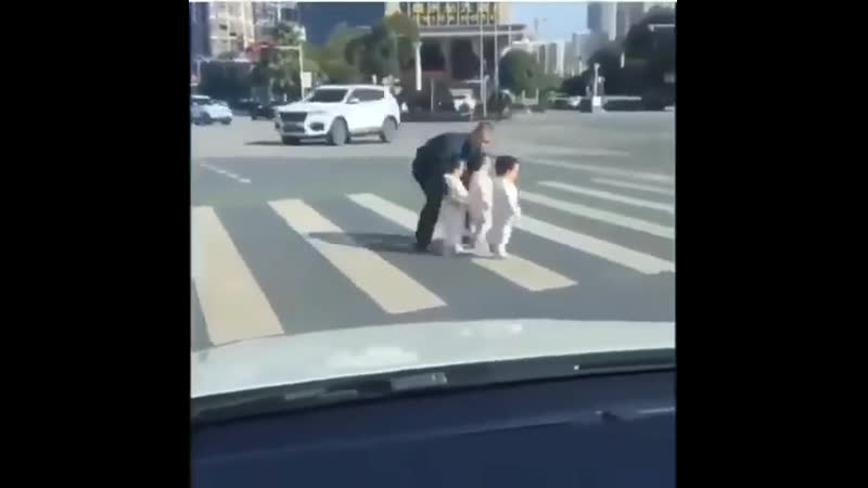Папа переводит через дорогу своих малышей