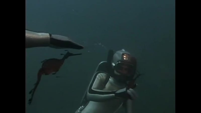 Повторное открытие мира #27 австралия рассвет на острове тасмания