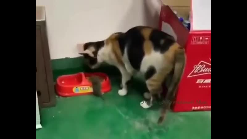 Поешь со мной