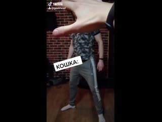 Когда пытаешься погладить кошку в гостях (vhs video)