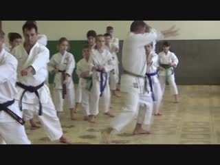 Shotokan kata hyakuhachiho