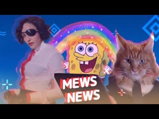 Mews news | кот экстремал, мадонна и яндекс