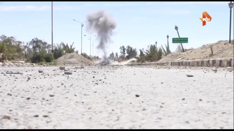 Саперы рф обезвредили более 120 взрывных устройств в пальмире