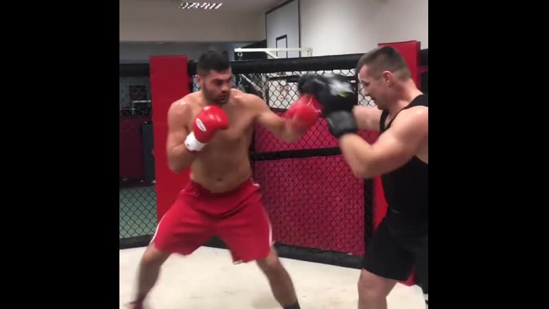 Легкий спарринг мирко крокоп