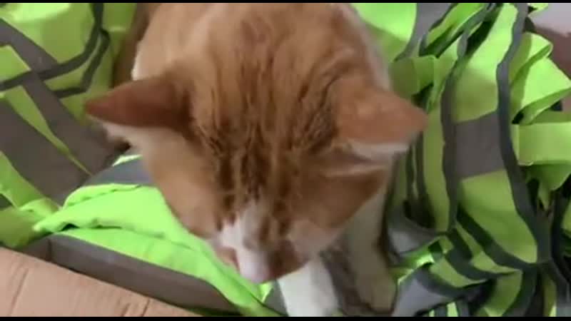 Готовлюсь встречать журналистов