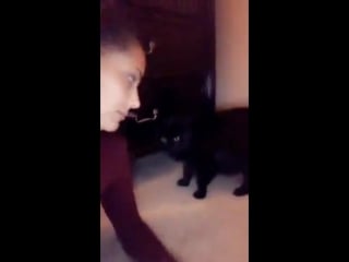 Sofi ryan играет с котом, звезда порно модель