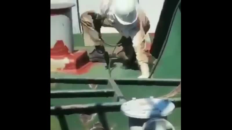 Seaman life sunglasses anchor ship https seamanfan com en seamanfan maritime se ( 480 x 480 ) mp4