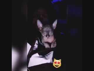 Paname and daddy lau! 🐱😘💕via lau's igs 👻