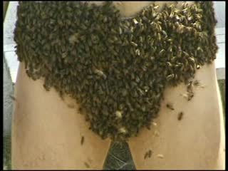Jackass s01e05 mtv rus