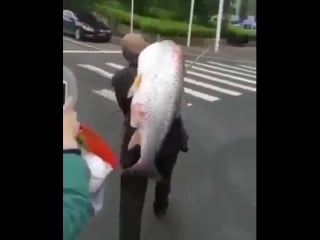 Небывалый улов