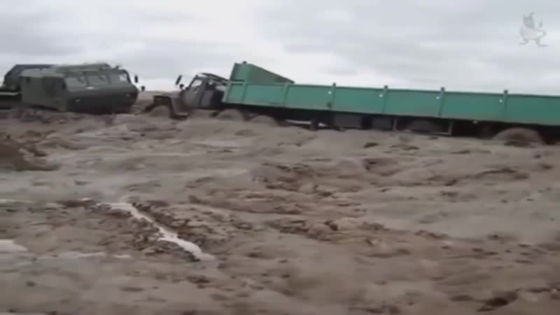 Дт 30 "витязь"