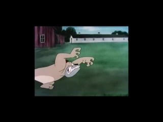 Tex avery integral cd5 [personnalisé 640x274 avc mp4]