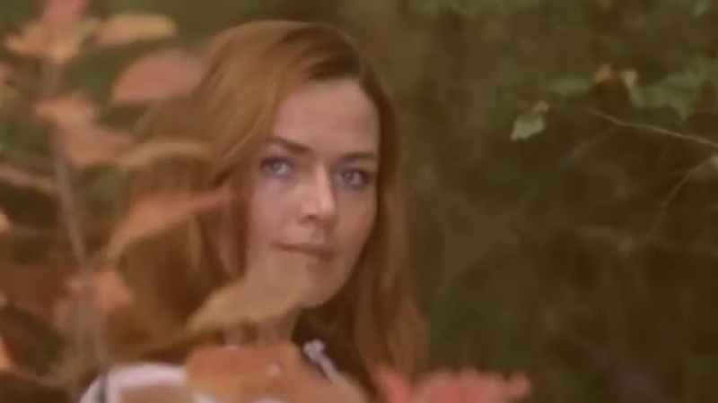 Сябры олеся