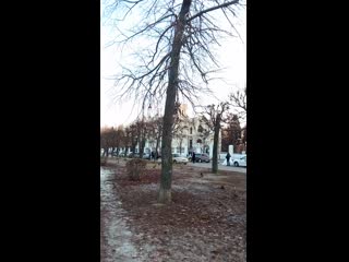 Vid 20201212 144404 mp4