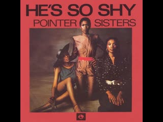 Pointer sisters he's so shy (1980)