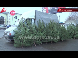 У костянтинівці поліція почала перевіряти ялинкові базари