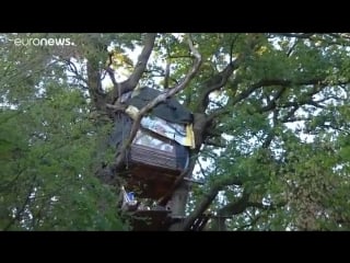 Toter im hambacher forst mann stürzt aus 12 metern höhe von einem baum