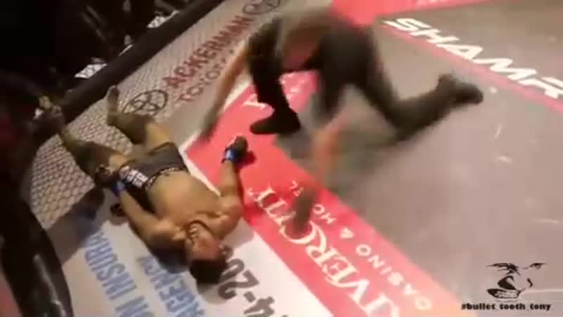 Лютая вертуха