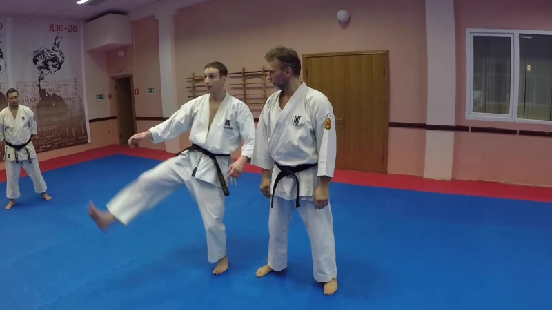 5 shotokan kata heian godan (kwf standart) by alex chichvarin