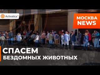 У администрации президента прошла акция зоозащитников