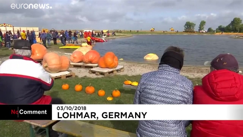 Тыквенные гонки