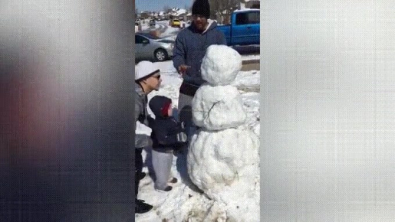 Драгоценная жизнь снеговика