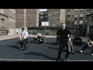 Roadkill nie potrzeba edukacji