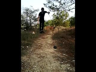 Sl mo vid 20201028 123227 mp4