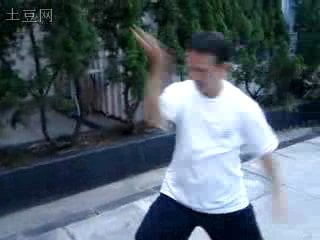 五支拳法/ 五龟拳 у чжи цюань фа/ у гуй цюань