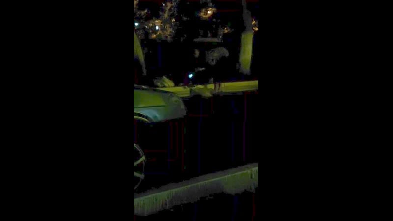 Химмаш бабка жарит кошку