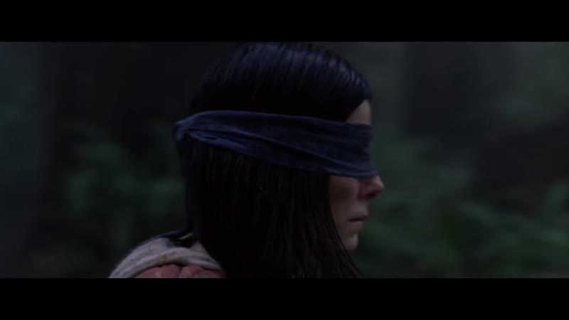 Птичий короб 2018