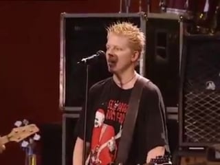 The offspring come out and play live at woodstock