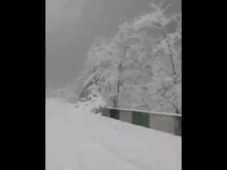 Sochi day 20201119 140256 1 mp4