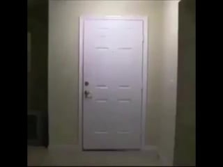 Хеллоу сука