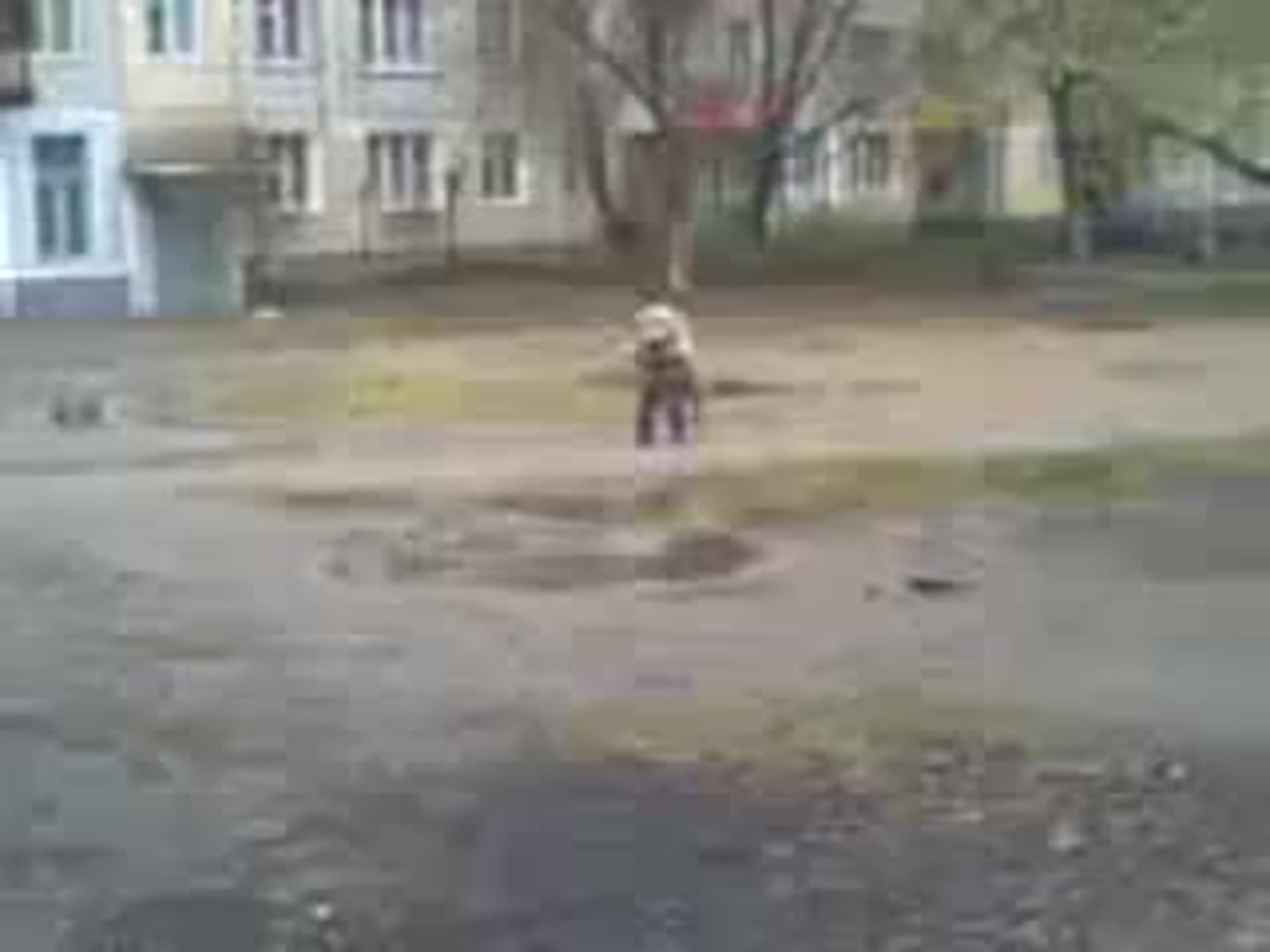 любительская зоофилия Категории порнухи - ЯПлакалъ