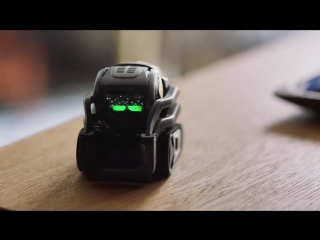 Anki vector the good robot the decision