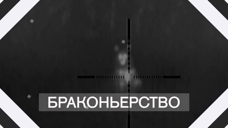 Охотминимум с валерием кузенковым лекция 3 браконьерство vs нарушение правил охоты, в чем отличия