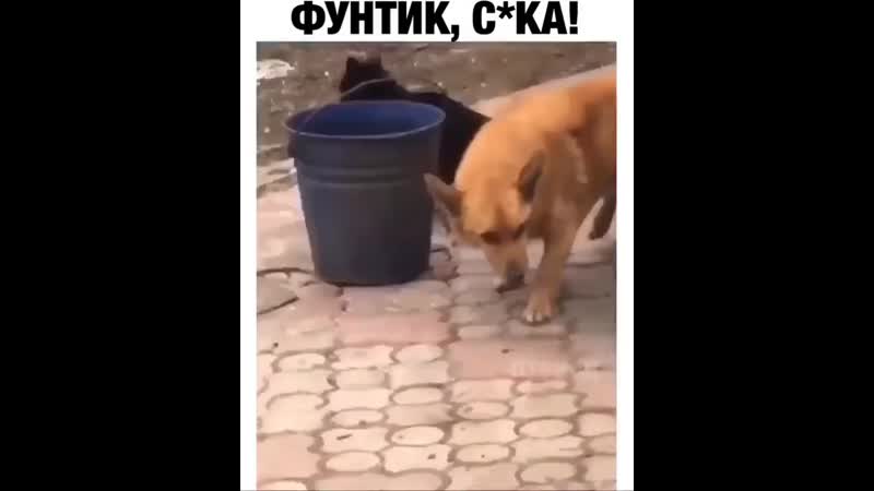 Пьянь рвань дрань