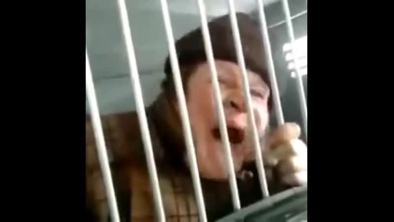 Чмо ебаное заткнись нахуй