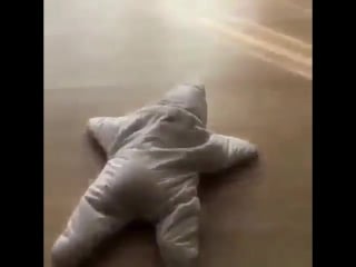 Starlights after vixx havana cover