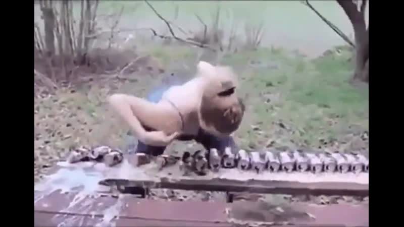 Весёлые американские реднеки