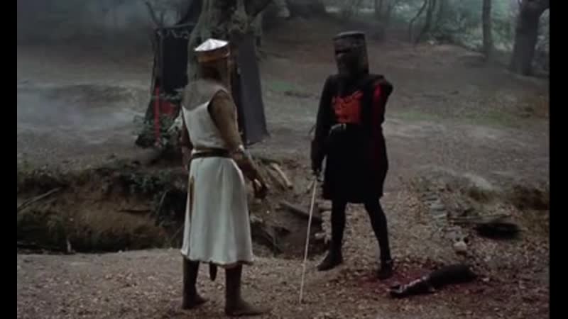 Смотрим монти пайтон и священный грааль